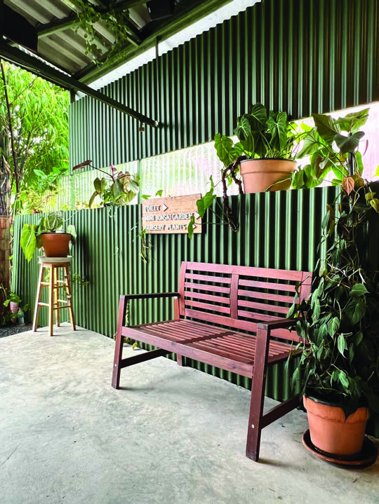 ม้านั่งไม้สีชมพูในสวนข้างผนังสีเขียว มีไม้กระถางและแสงธรรมชาติ